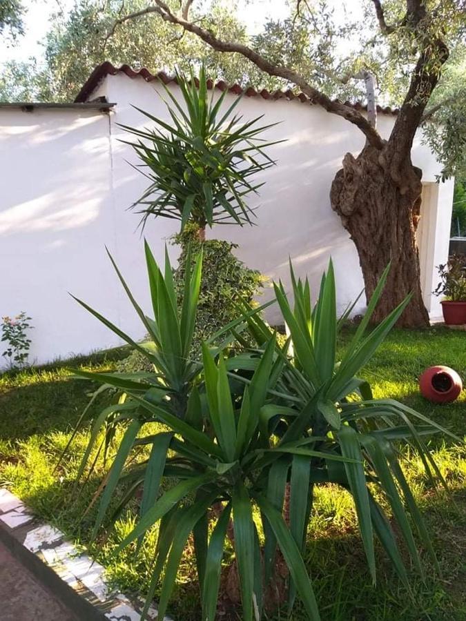 Apartament Valia House Thassos Skála Kallirákhis Zewnętrze zdjęcie