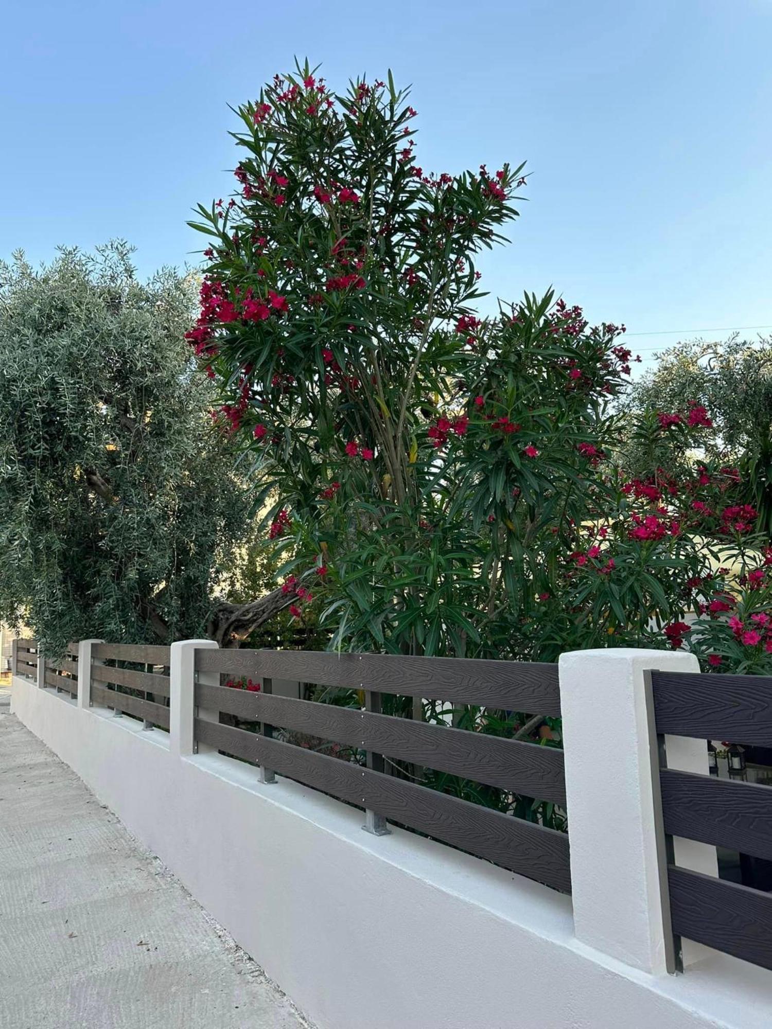 Apartament Valia House Thassos Skála Kallirákhis Zewnętrze zdjęcie