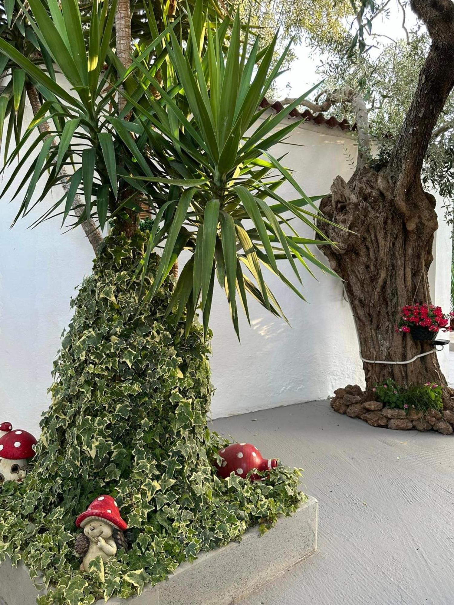 Apartament Valia House Thassos Skála Kallirákhis Zewnętrze zdjęcie