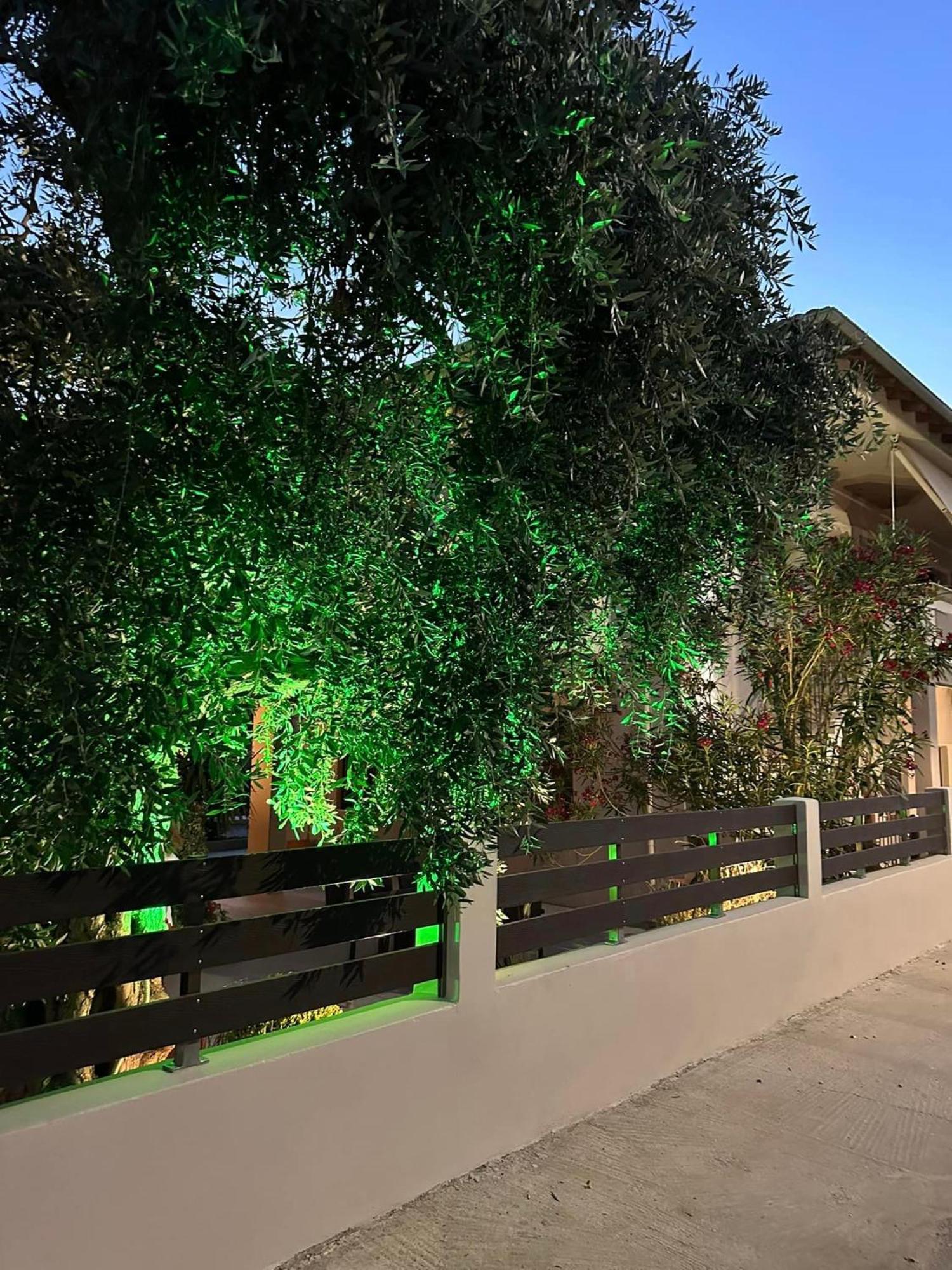 Apartament Valia House Thassos Skála Kallirákhis Zewnętrze zdjęcie